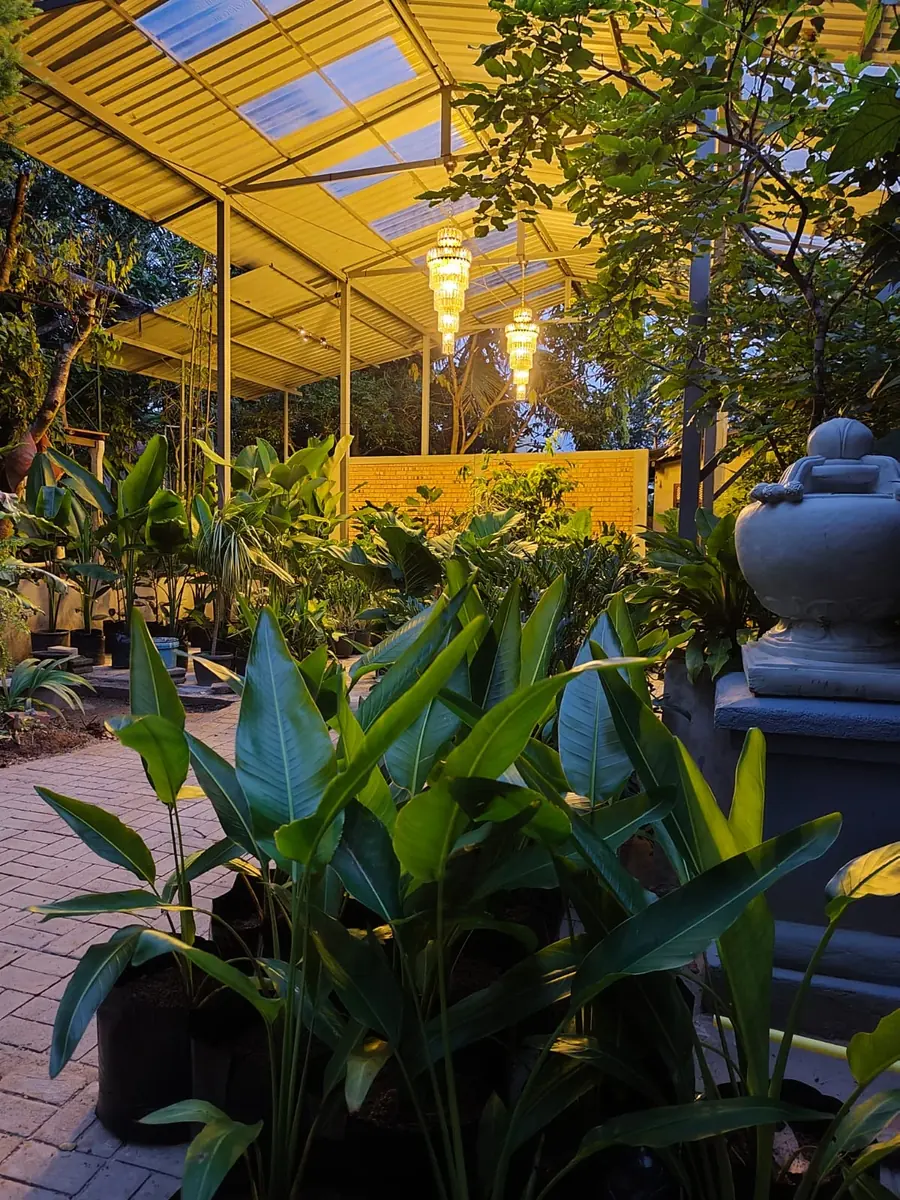 Layered tropical foliage beneath the covered canopy at Heliconia Garden