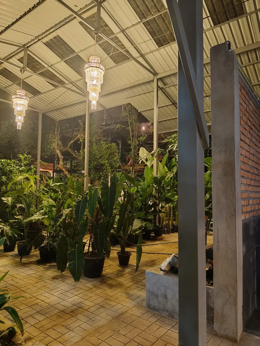 Warm chandeliers, brick walls and mature tropical foliage inside Heliconia Garden in Piliyandala